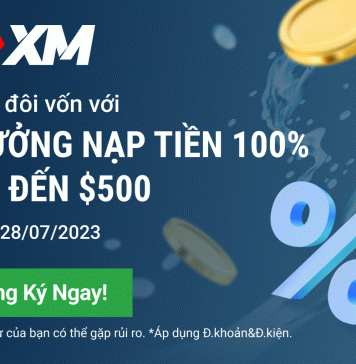 Những điều quan trọng cần lưu ý khi giao dịch Forex