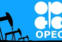 OPEC, OPEC+ là gì và vai trò của họ trên thị trường toàn cầu là gì?