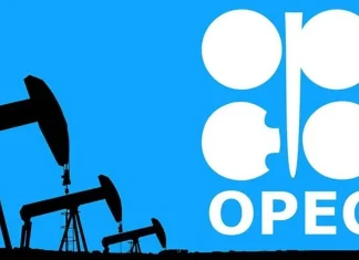 OPEC, OPEC+ là gì và vai trò của họ trên thị trường toàn cầu là gì?