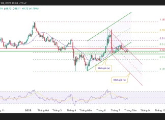 Triển vọng tương lai: Cơ hội và thách thức của xu hướng giá dầu