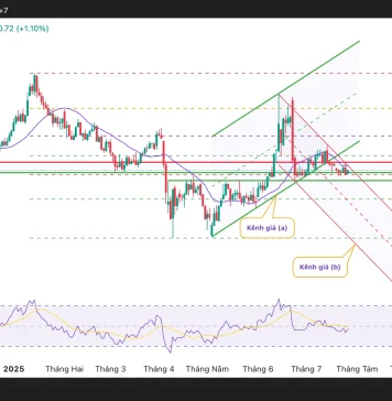 Triển vọng tương lai: Cơ hội và thách thức của xu hướng giá dầu