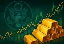 Tổng quan cấu trúc dòng tiền và hành vi quỹ ETF vàng