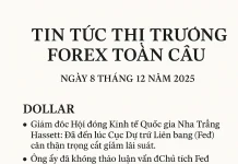 Bản tin Ngoại hối toàn cầu (Ngày 8 tháng 12 năm 2025)
