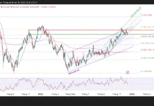 USD/JPY gãy mốc 155 khi Tokyo tiến về thắt chặt, Washington lùi dần khỏi đỉnh chính sách