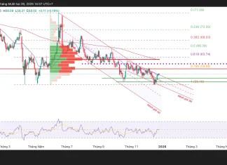 Phân tích kỹ thuật và gợi ý Entry dầu thô WTI (ngày 26 tháng 12)