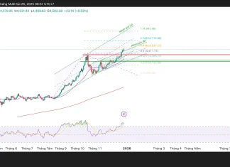 Phân tích kỹ thuật và gợi ý Entry vàng (Ngày 26 tháng 12)