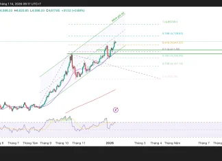 Phân tích kỹ thuật và gợi ý Entry vàng (Ngày 14 tháng 1)
