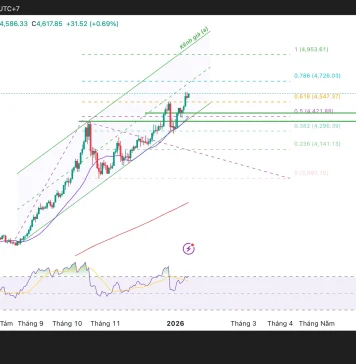 Phân tích kỹ thuật và gợi ý Entry vàng (Ngày 14 tháng 1)