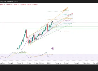 Phân tích kỹ thuật và gợi ý Entry vàng (Ngày 15 tháng 1)