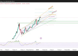 Phân tích kỹ thuật và gợi ý Entry vàng (Ngày 16 tháng 1)