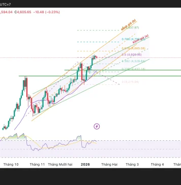 Phân tích kỹ thuật và gợi ý Entry vàng (Ngày 16 tháng 1)