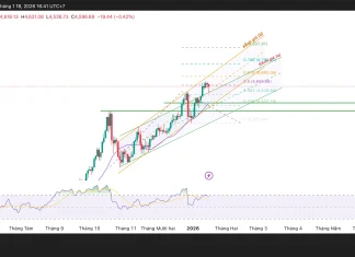 Phân tích kỹ thuật và gợi ý Entry vàng (Ngày 18 tháng 1)