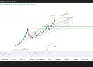 Phân tích kỹ thuật và gợi ý Entry vàng (Ngày 21 tháng 1)