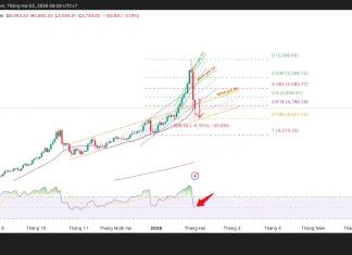 Phân tích triển vọng kỹ thuật và gợi ý Entry vàng (Ngày 2 tháng 2)