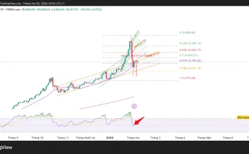Phân tích kỹ thuật và gợi ý Entry vàng (Ngày 3 tháng 2)