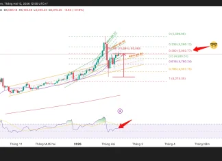 Phân tích kỹ thuật và gợi ý Entry vàng (Ngày 12 tháng 2)