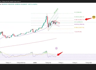 Phân tích kỹ thuật và gợi ý Entry vàng (Ngày 19 tháng 2)