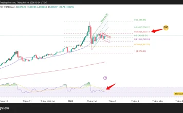 Phân tích kỹ thuật và gợi ý Entry vàng (Ngày 19 tháng 2)
