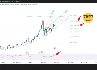 Phân tích kỹ thuật và gợi ý Entry vàng (Ngày 25 tháng 2)