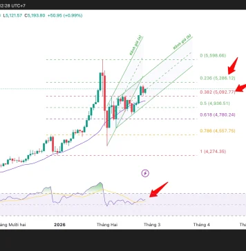 Phân tích kỹ thuật và gợi ý Entry vàng (Ngày 25 tháng 2)