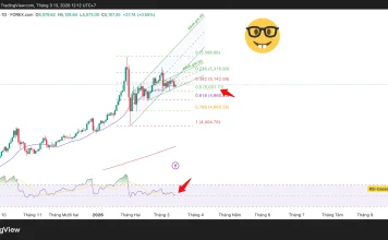 Phân tích kỹ thuật và gợi ý Entry vàng (Ngày 13 tháng 3)