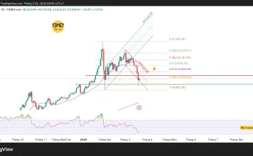 Phân tích kỹ thuật và gợi ý Entry vàng (Ngày 20 tháng 3)