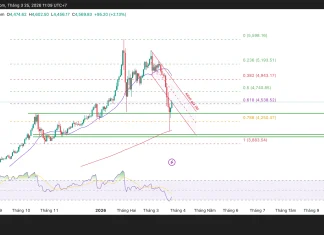 Phân tích kỹ thuật và gợi ý Entry vàng (Ngày 25 tháng 3)