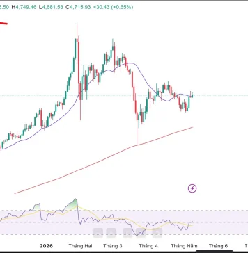Hướng dẫn sử dụng Fibonacci thoái lui trên TradingView trong phân tích và giao dịch