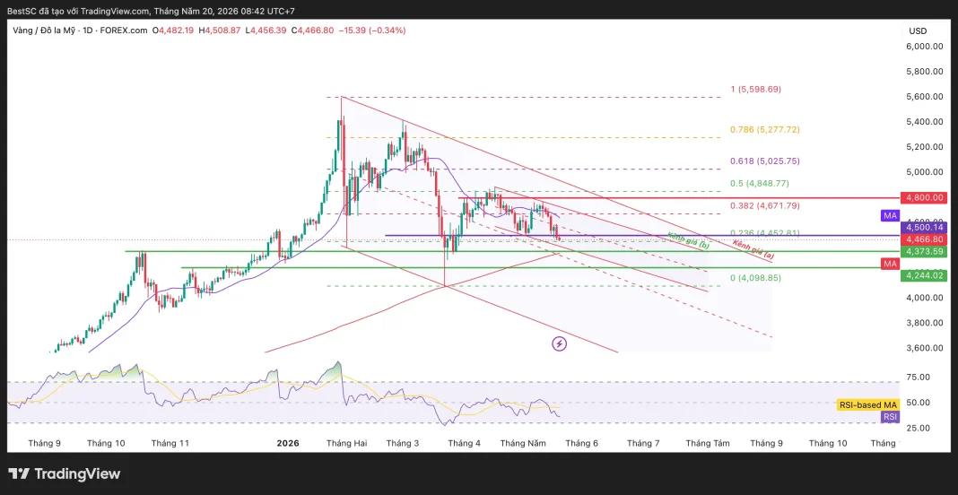 XAUUSD_2026-05-20_08-42-12
