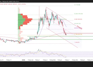 Phân tích kỹ thuật và gợi ý Entry dầu WTI (Ngày 29 tháng 6)