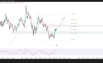 Phân tích kỹ thuật và gợi ý Entry EUR/USD (Ngày 12 tháng 8)