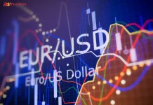 Euro trở lại 1,16, phá vỡ giả hay một nhịp đảo chiều thực sự?