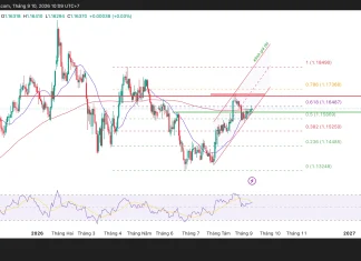 Phân tích kỹ thuật và gợi ý Entry EUR/USD (Ngày 10 tháng 9)